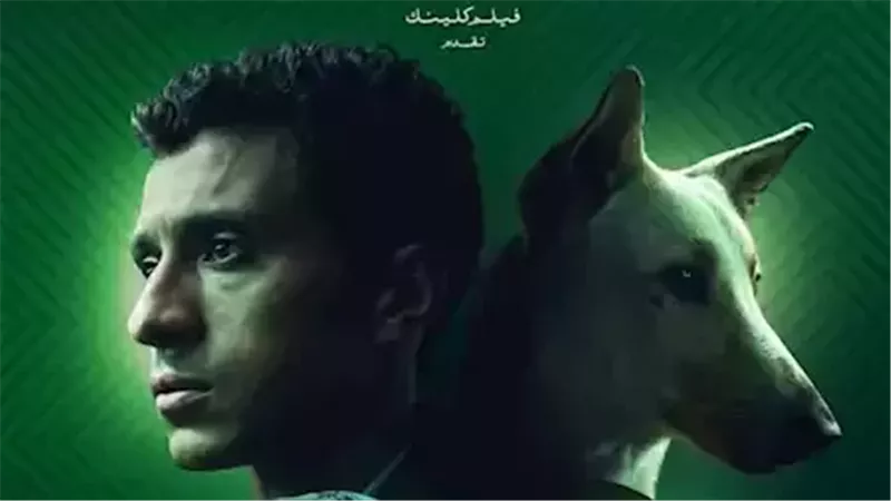 القارئ نيوز