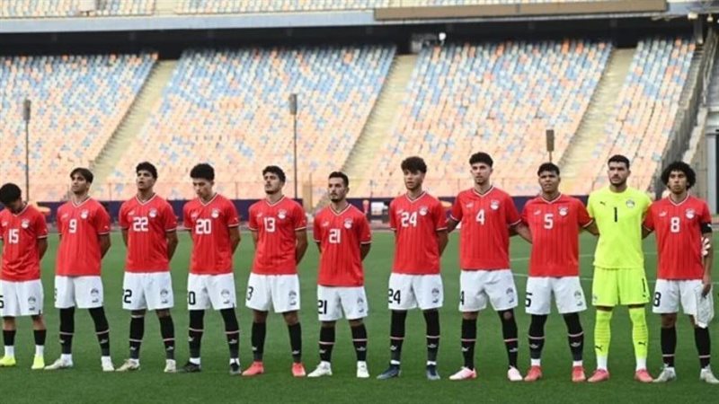القارئ نيوز