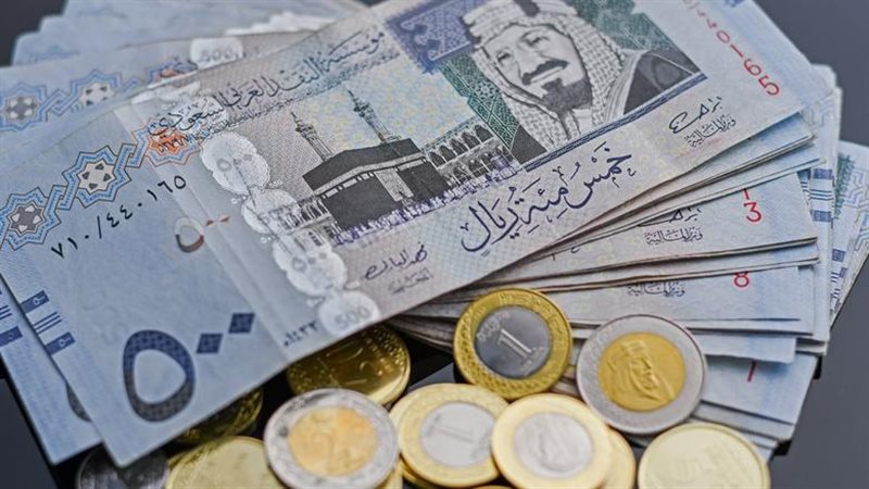 القارئ نيوز