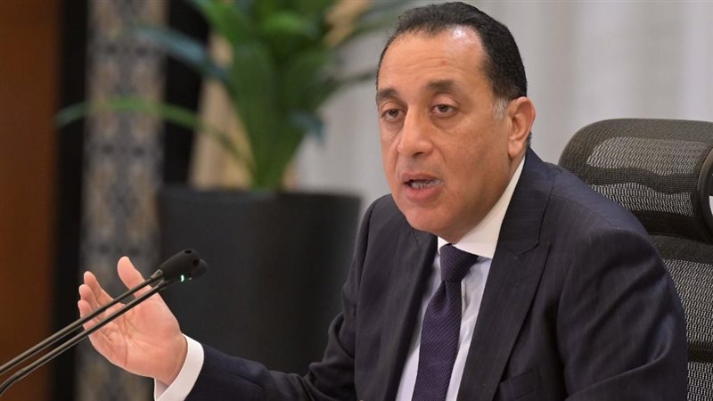 القارئ نيوز