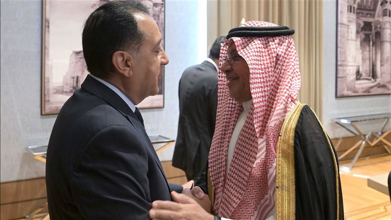 القارئ نيوز