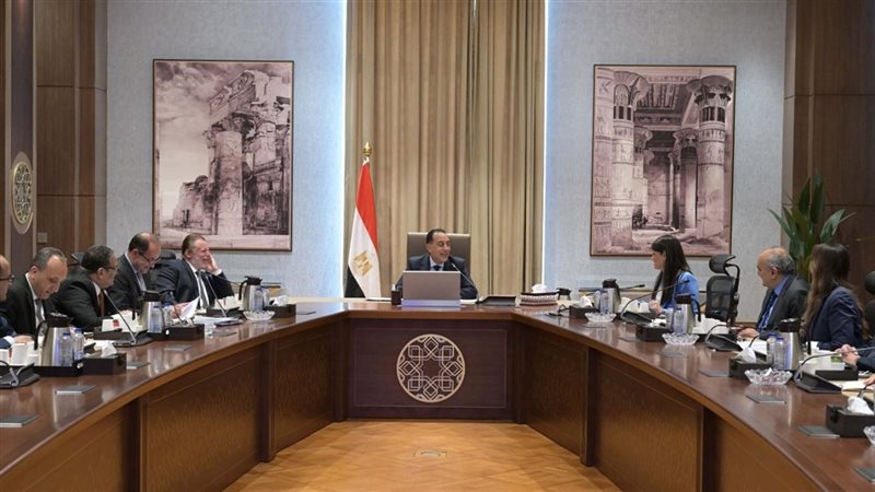 القارئ نيوز
