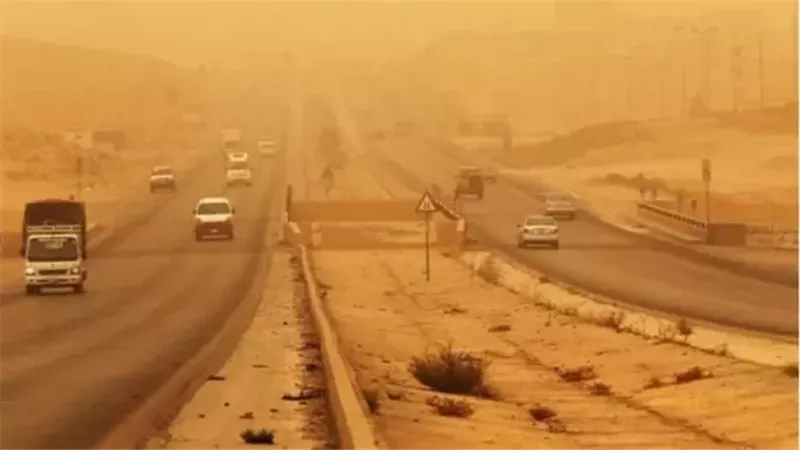 القارئ نيوز