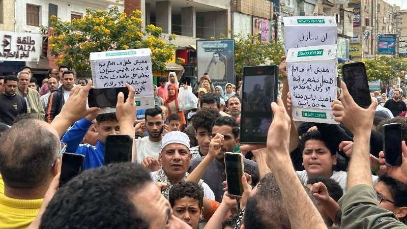 القارئ نيوز