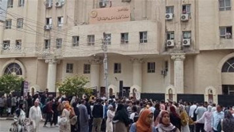 القارئ نيوز