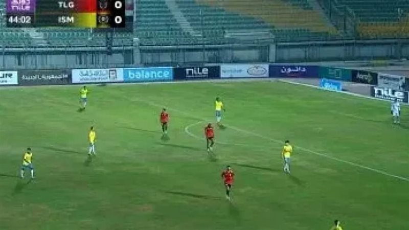 القارئ نيوز