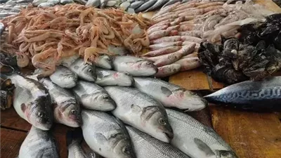 أسعار الأسماك اليوم السبت 5 يوليو 2025.. الجمبري والبلطي في الصدارة