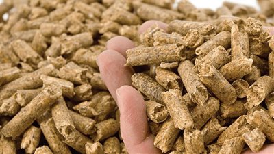 تفاوت أسعار الأعلاف والخامات اليوم الثلاثاء 28 أكتوبر 2025