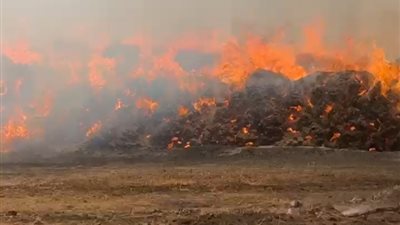 بينهم رجل إطفاء.. عشرات المصابين جراء حريق شونة الكتان بالغربية