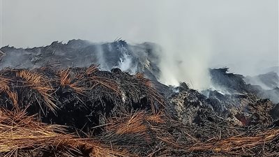 بعد خسائر بالملايين.. الحماية المدنية تسيطر على حريق « شونة الكتان» بالغربية