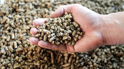 استقرار نسبي في أسعار الأعلاف اليوم الجمعة.. وتذبذب في خامات التصنيع عالميا