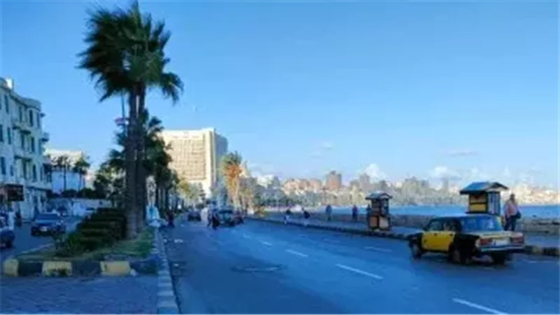 القارئ نيوز