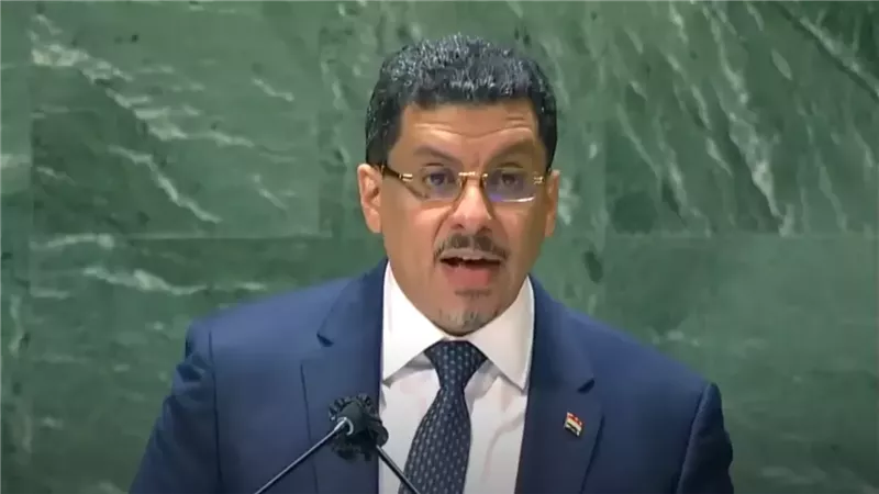 القارئ نيوز