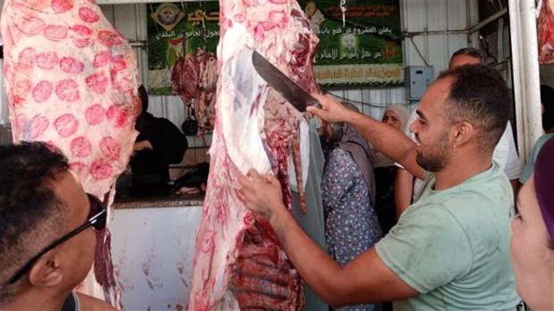 القارئ نيوز