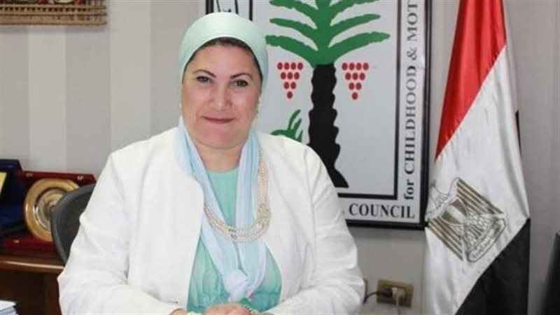 القارئ نيوز