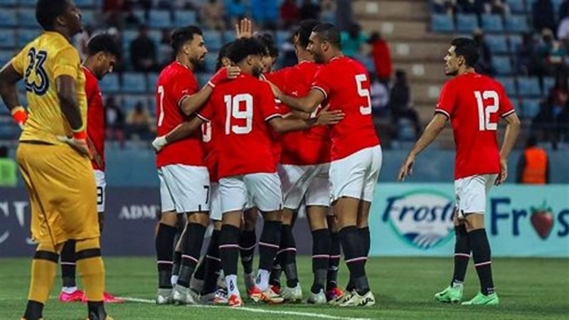 القارئ نيوز