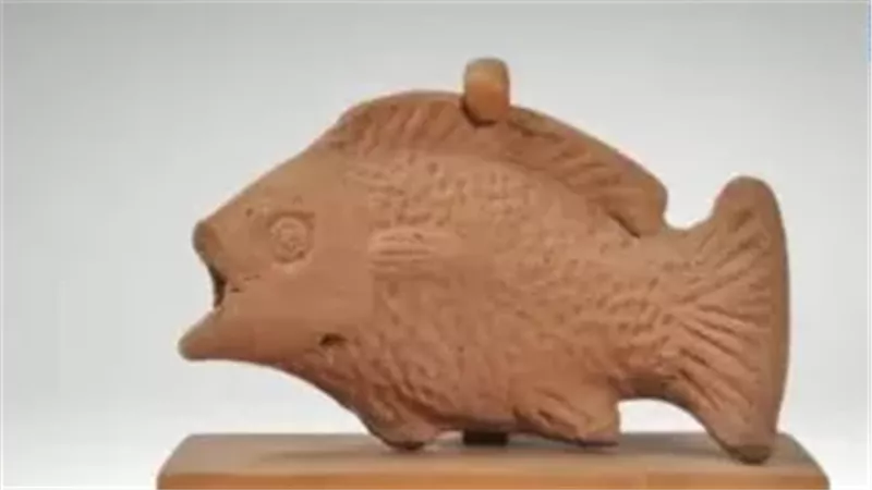 القارئ نيوز