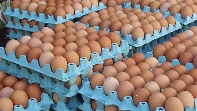 البيض