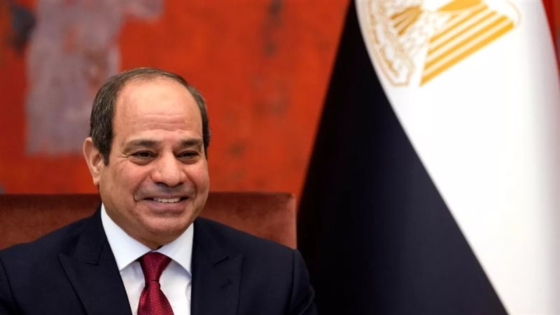 القارئ نيوز