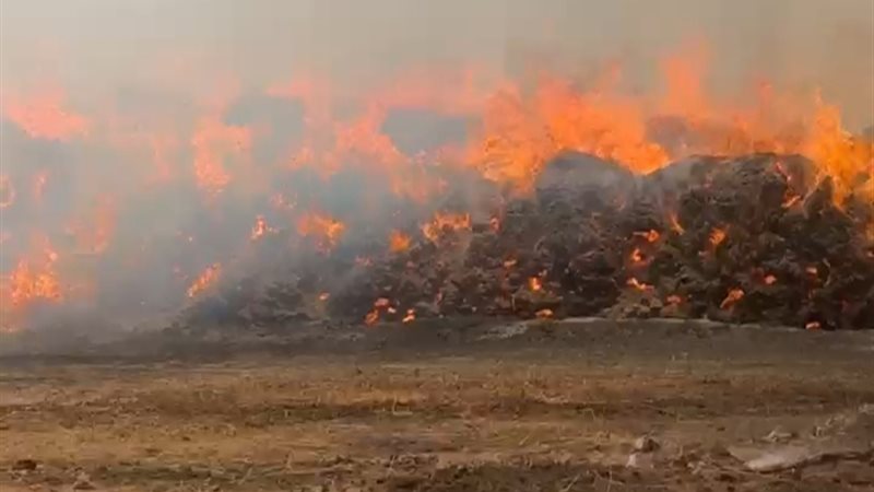 حريق شونة كتان بالغربية