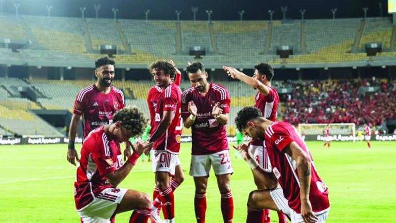 القارئ نيوز
