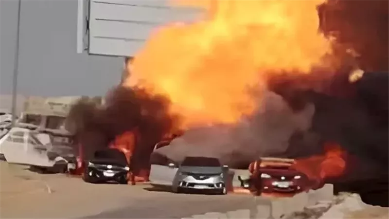 القارئ نيوز
