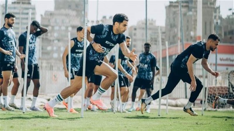 القارئ نيوز
