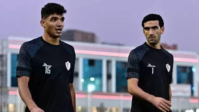 القارئ نيوز