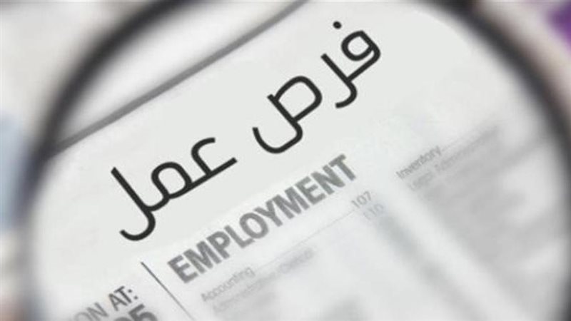 القارئ نيوز