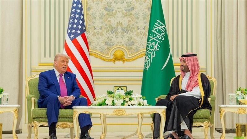 القارئ نيوز
