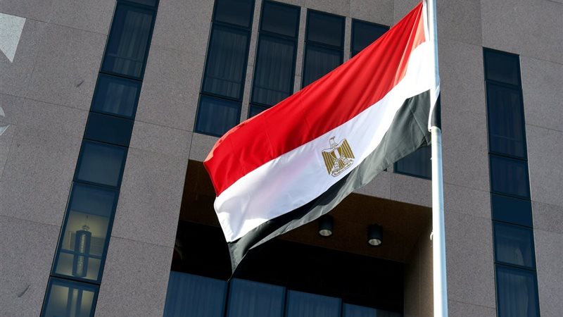 القارئ نيوز