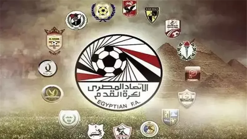 القارئ نيوز