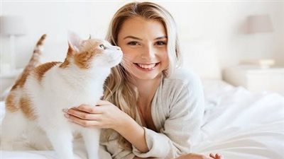 7 أمراض قاتلة تنقلها القطط إلى البشر.. أخطرها «السعار» و«داء المقوسات»