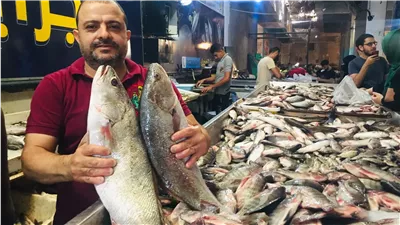  أسعار الأسماك اليوم الجمعة 27 يونيو 2025 في الأسواق المصرية
