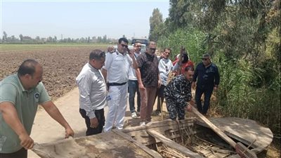 الشرقية تشن حملة لمكافحة الصيد بالكهرباء.. 3 مراكب مخالفة في قبضة القانون