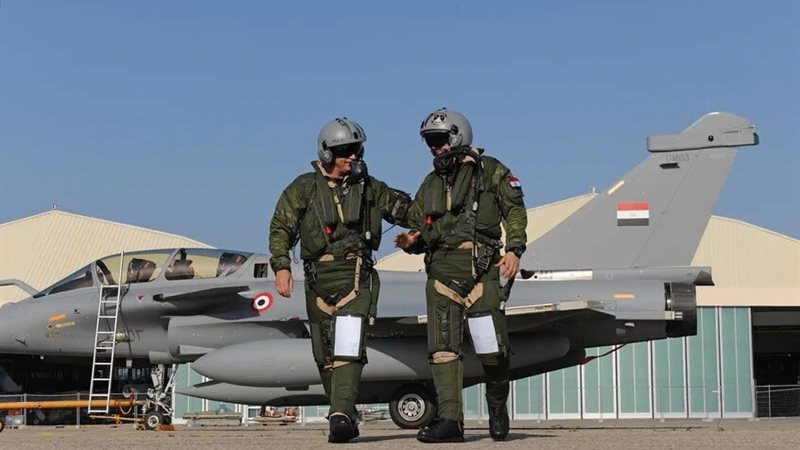 القارئ نيوز