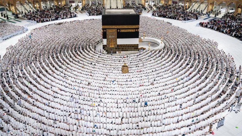 القارئ نيوز