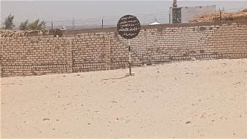 القارئ نيوز