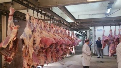 ذبح الأضاحي مجانًا بالقاهرة طوال العيد.. إليك مواقع المجازر والمواعيد