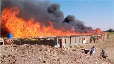 السيطرة على حريق هائل بمزرعة دواجن في سقارة.. والنيابة تباشر التحقيقات