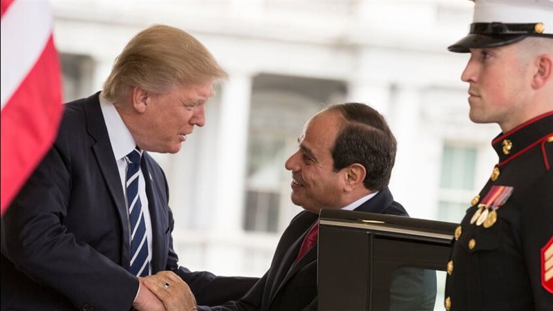 القارئ نيوز