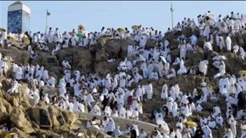 القارئ نيوز