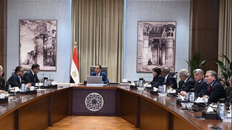 القارئ نيوز