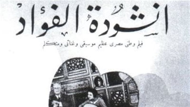 القارئ نيوز