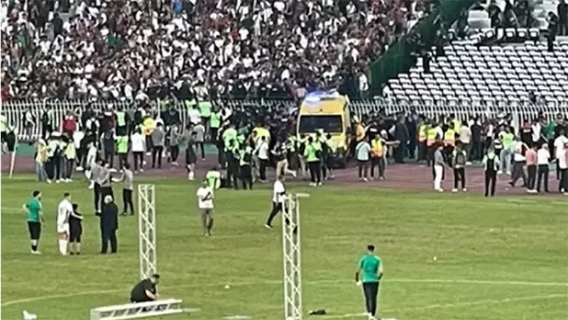 جماهير مولودية الجزائر