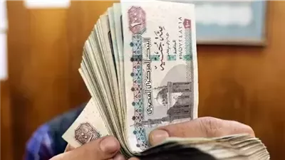 1500 جنيه دعم المولد النبوي 2025.. خطوات التسجيل والفئات المستفيدة رسميًا 