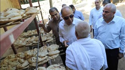 63 مخالفة مخابز و32 للأسواق.. ضبطيات تموينية في حملات رقابية بالمنيا