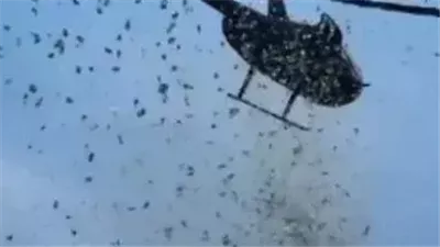 وفاء لا ينسى.. طائرة تنثر آلاف الدولارات تنفيذا لوصية رجل بعد وفاته