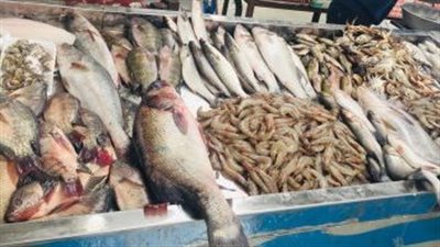 استقرار في سوق الأسماك اليوم الجمعة 3 أكتوبر