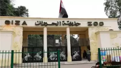 بعد الانتهاء من تطويرها.. افتتاح مرتقب لحديقة الحيوان بالجيزة وربطها بحديقة الأورمان 